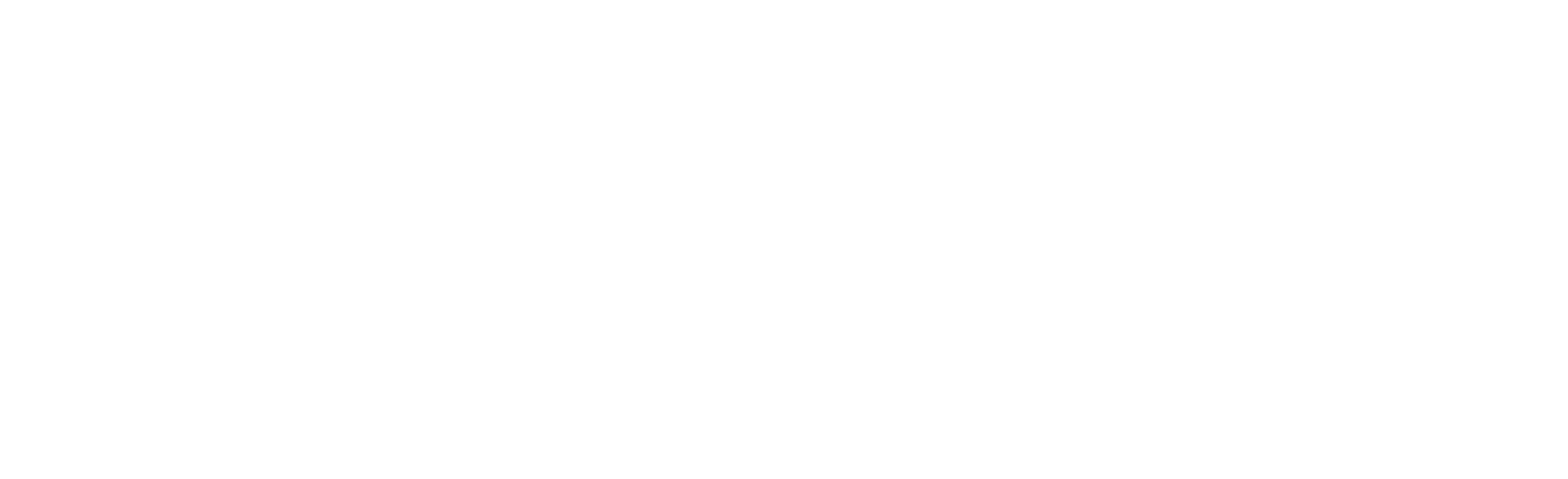 FP-Logo-(White) 1